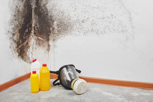 Best Crawl Space Mold Removal  in Pullman, WA