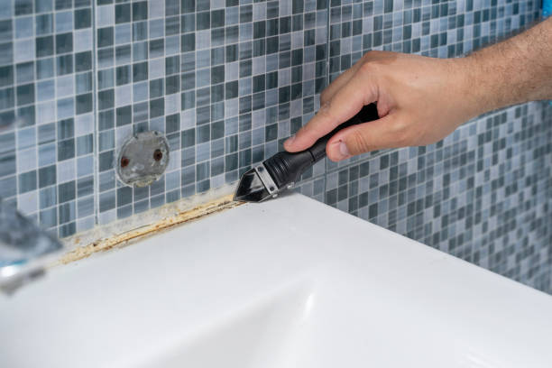 Best Mold Testing  in Pullman, WA